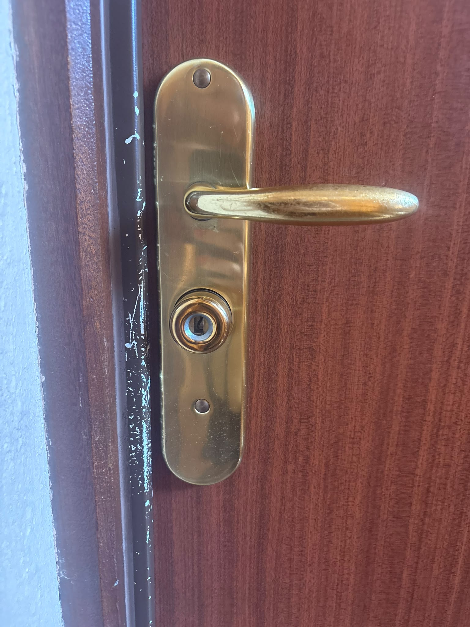 Serrure et poignée de porte d'entrée